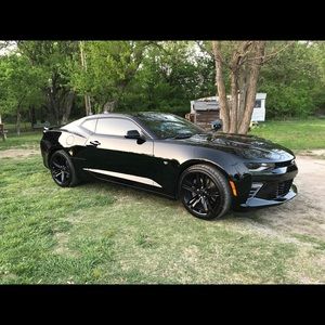 Meet your Posher, Gaylene